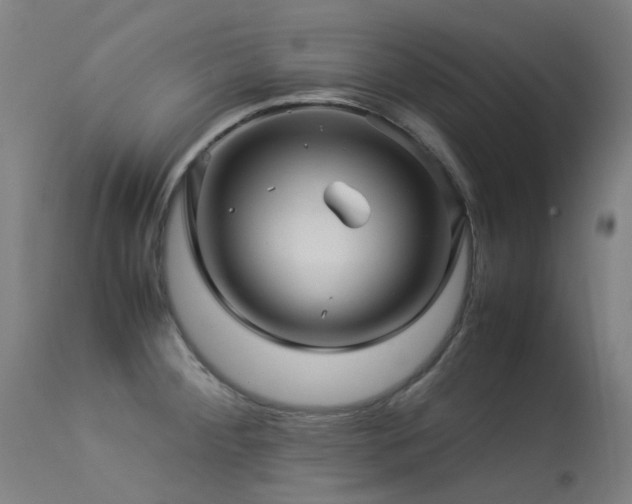 X0000113331284200909211211