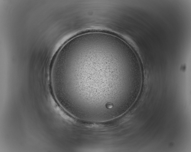 X0000113331287200909211211