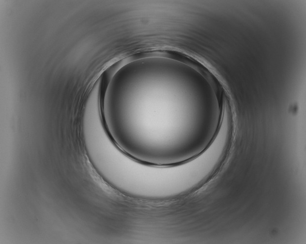 X0000113331289200909211211