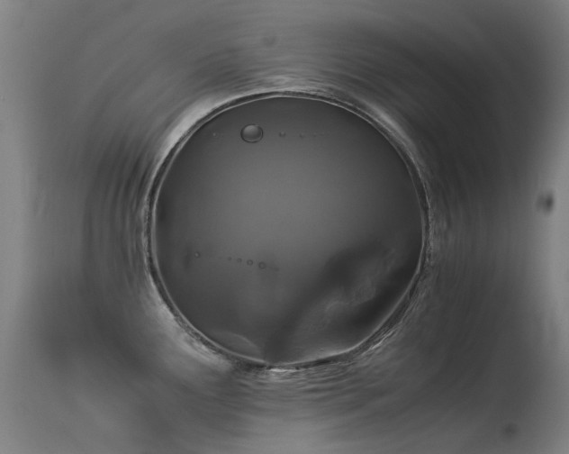 X0000113331291200909211211