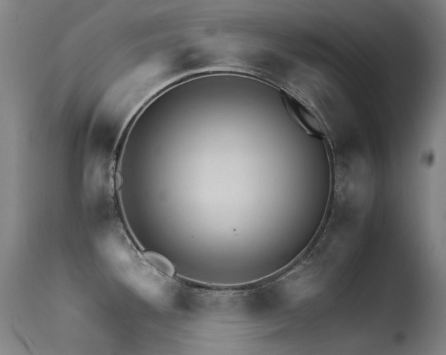 X0000113331292200909211211