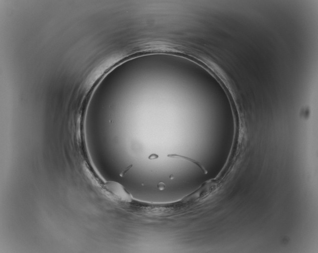 X0000113331293200909211211