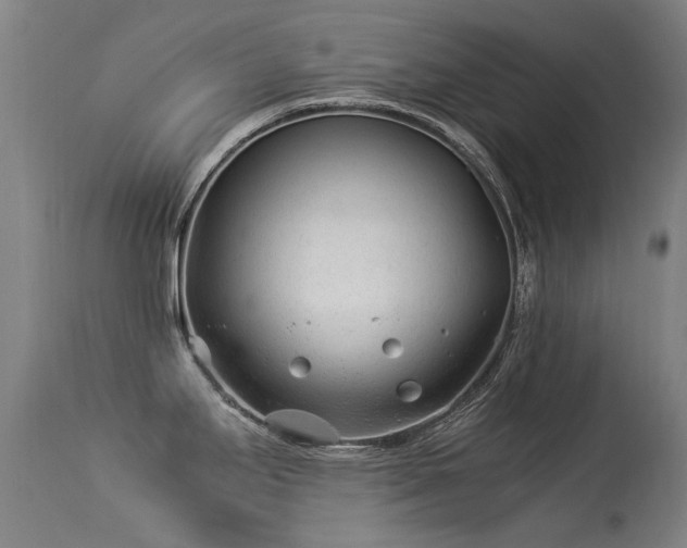 X0000113331295200909211211