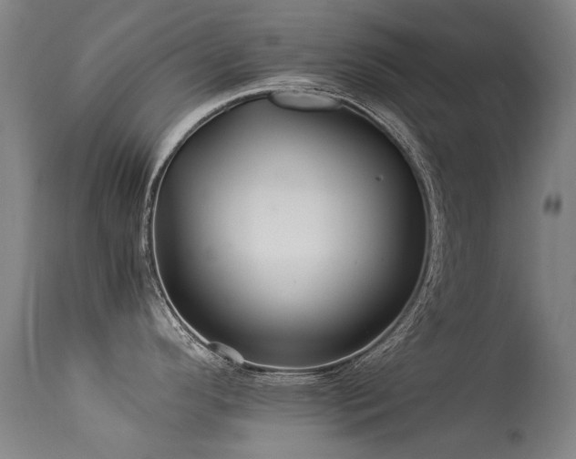 X0000113331296200909211211