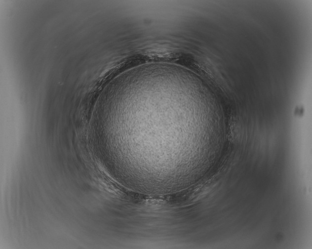 X0000113331297200909211210