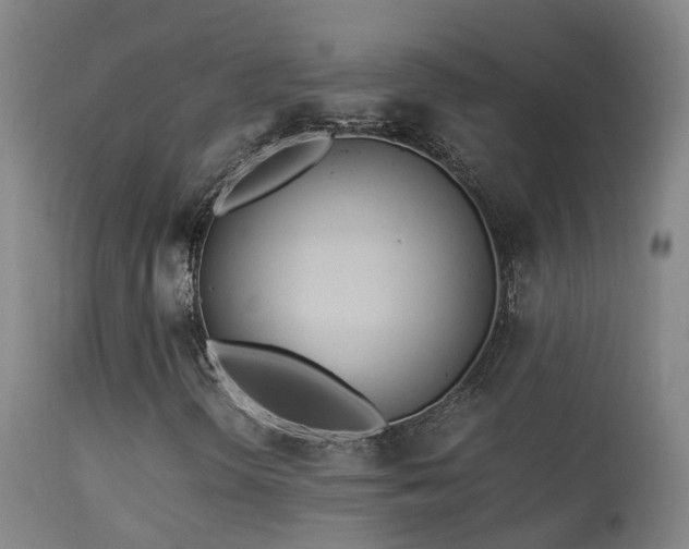 X0000113331298200909211210