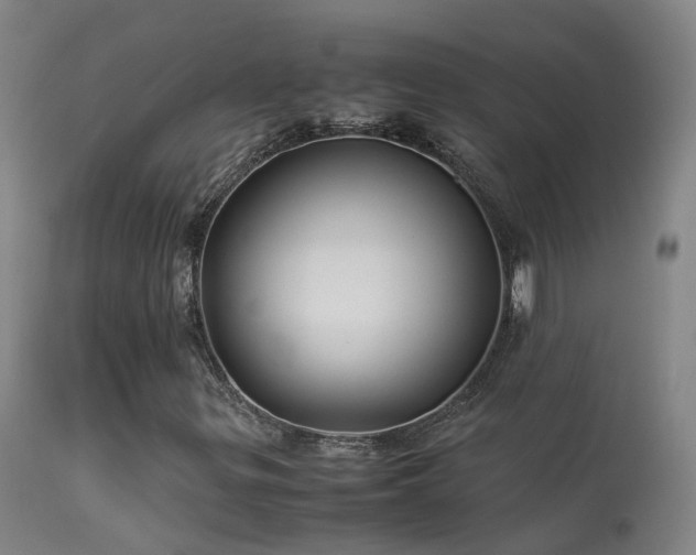 X0000113331299200909211210