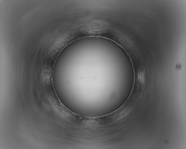 X0000113331300200909211210