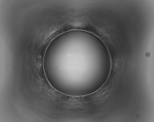 X0000113331301200909211210