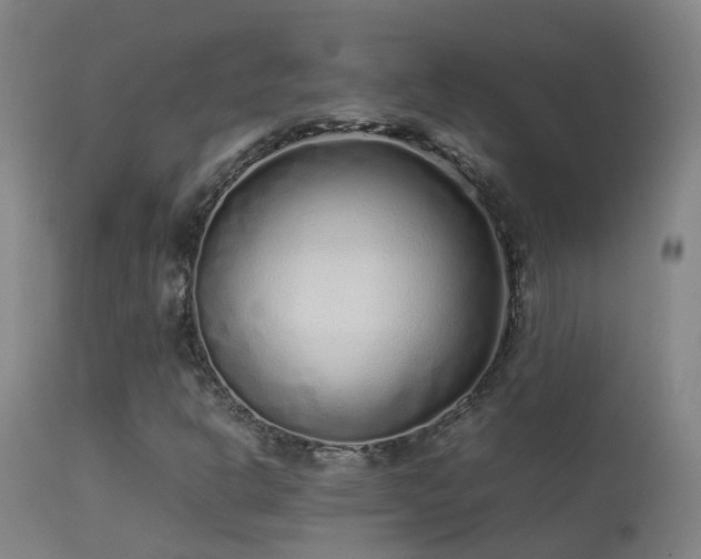 X0000113331302200909211210