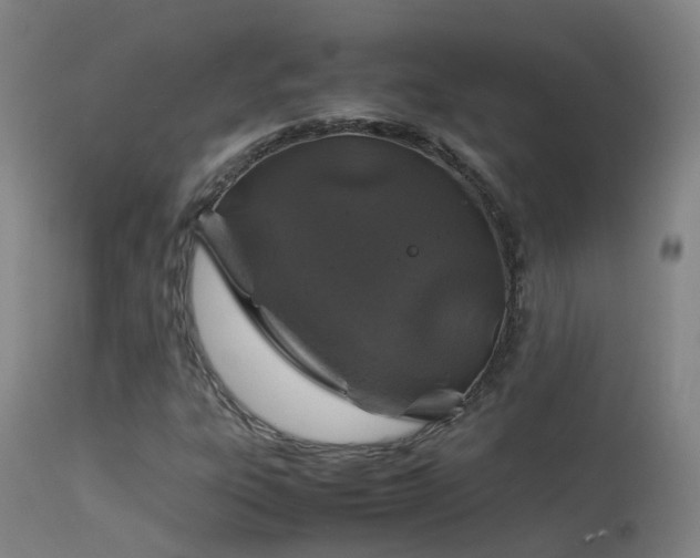 X0000113331303200909211210