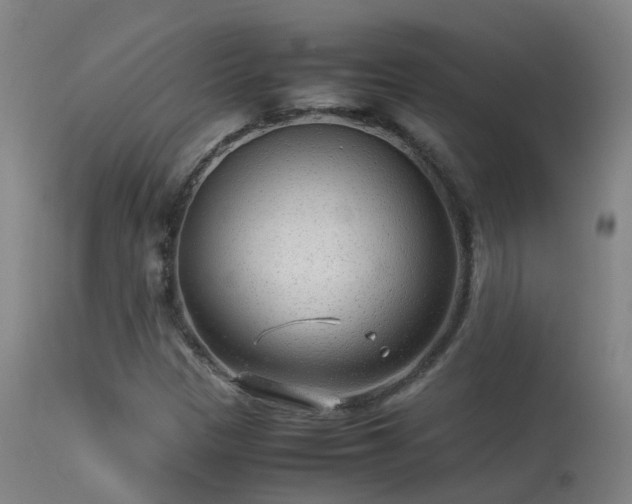 X0000113331305200909211210