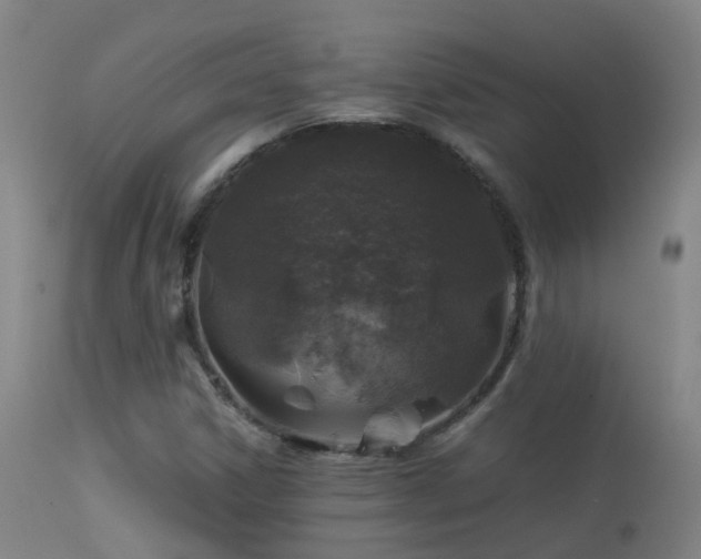 X0000113331306200909211210