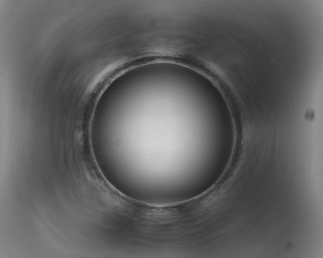 X0000113331307200909211210