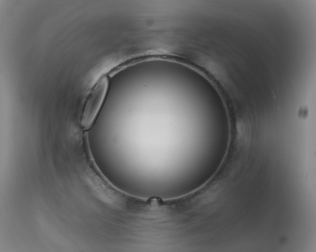 X0000113331308200909211210
