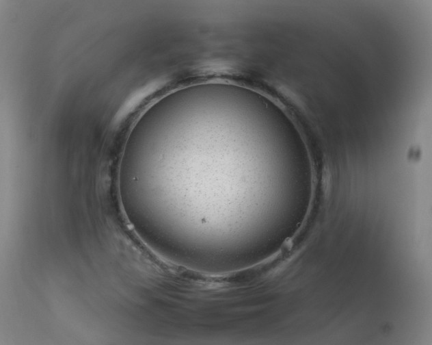 X0000113331309200909211210
