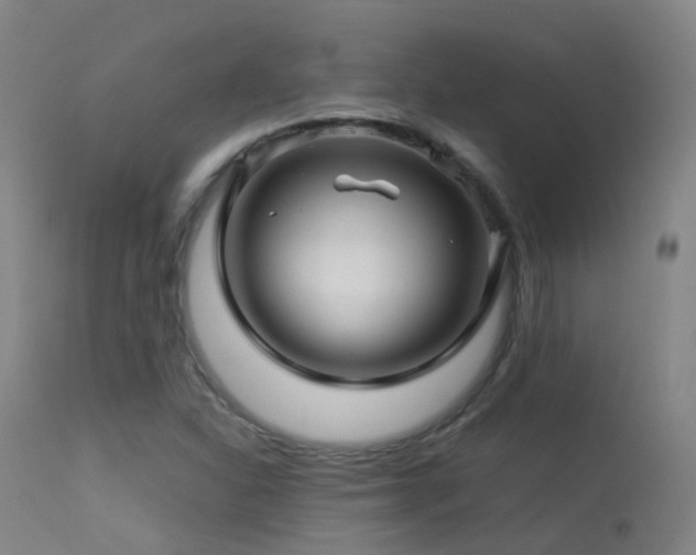 X0000113331310200909211210