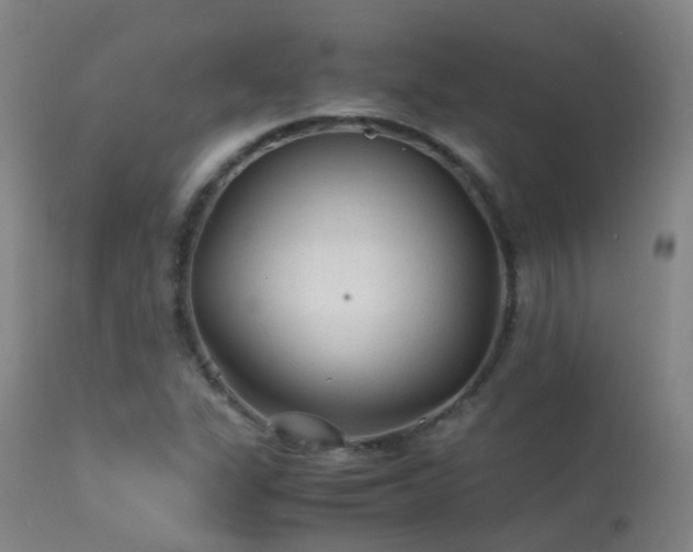 X0000113331311200909211210