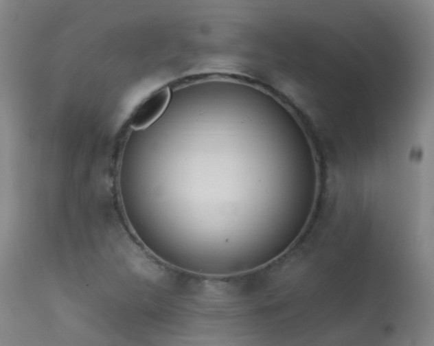 X0000113331312200909211210