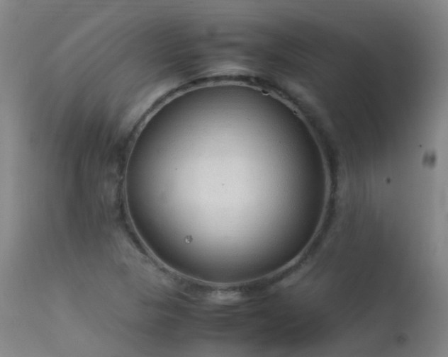 X0000113331313200909211210