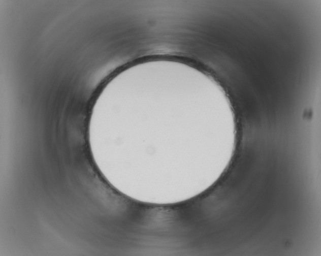 X0000113331314200909211210