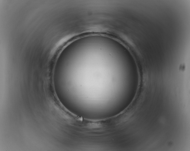 X0000113331315200909211210