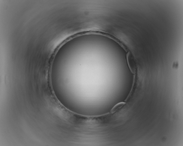 X0000113331316200909211211