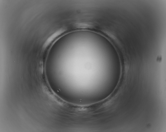 X0000113331317200909211211