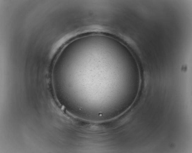 X0000113331318200909211211