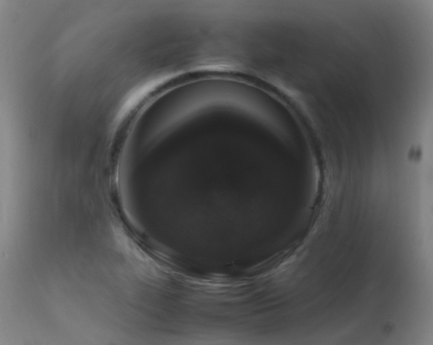 X0000113331319200909211211