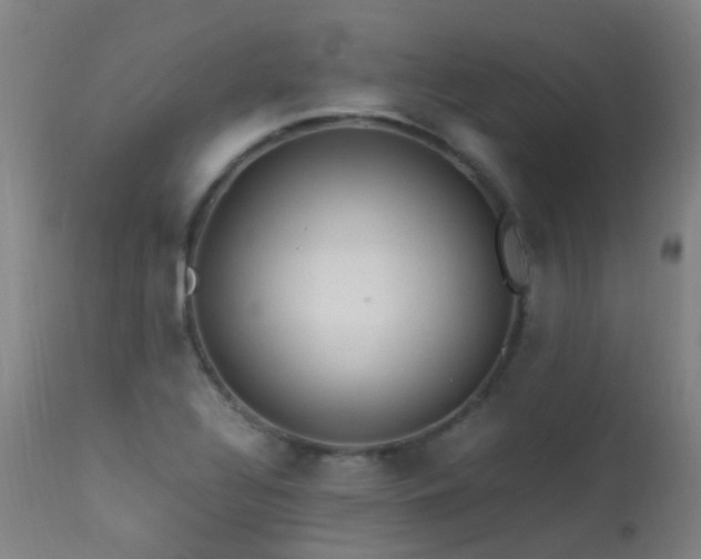 X0000113331320200909211211