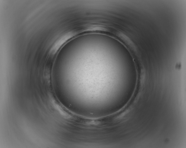 X0000113331321200909211211