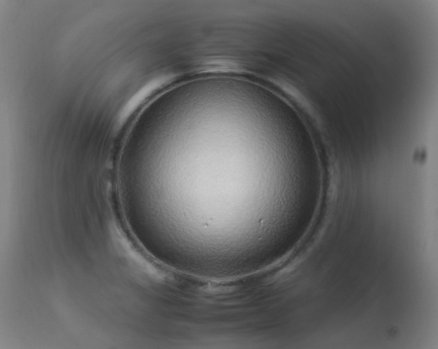 X0000113331325200909211211
