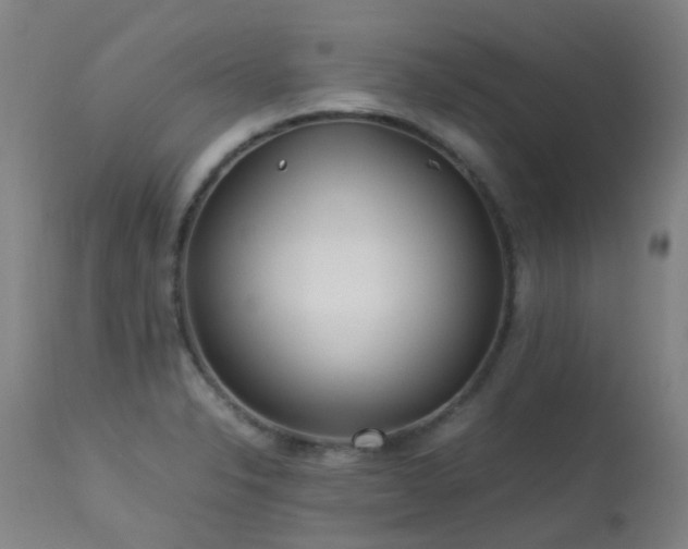 X0000113331326200909211211