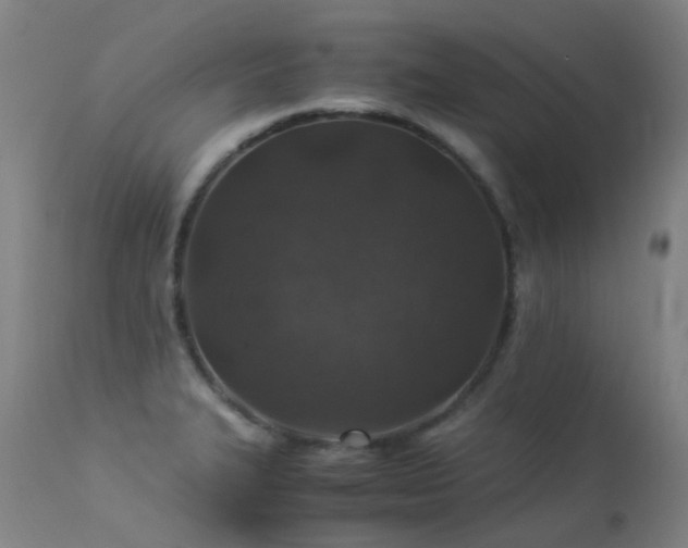 X0000113331327200909211211