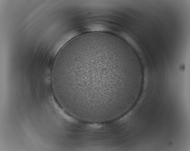 X0000113331329200909211211