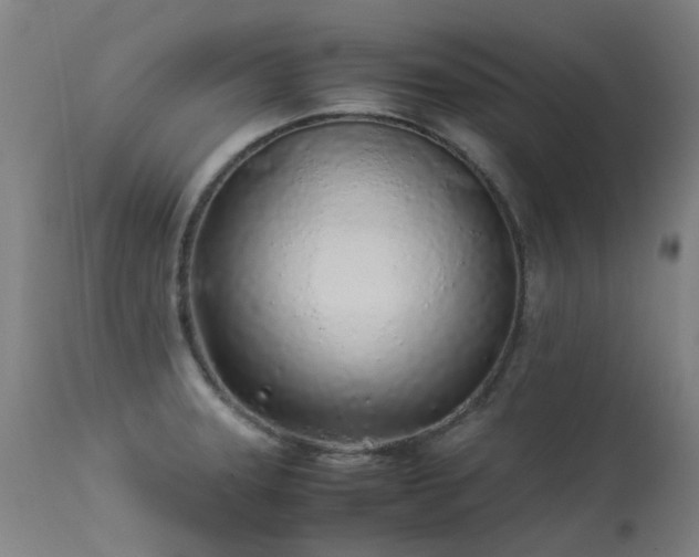 X0000113331331200909211211