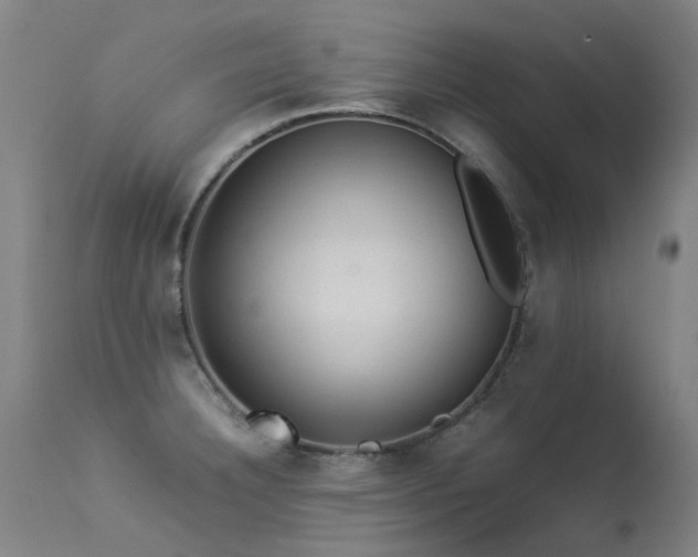 X0000113331332200909211211