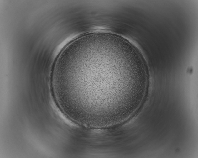 X0000113331333200909211211