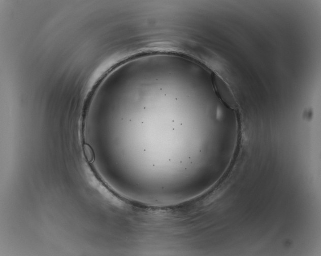 X0000113331334200909211211
