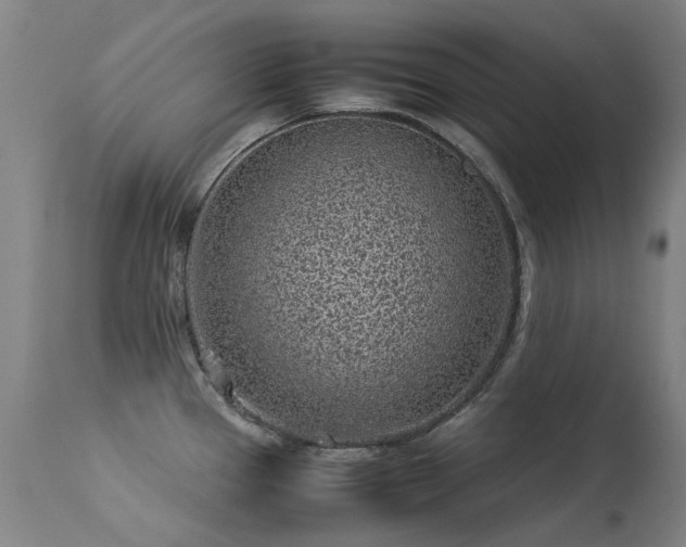 X0000113331337200909211211