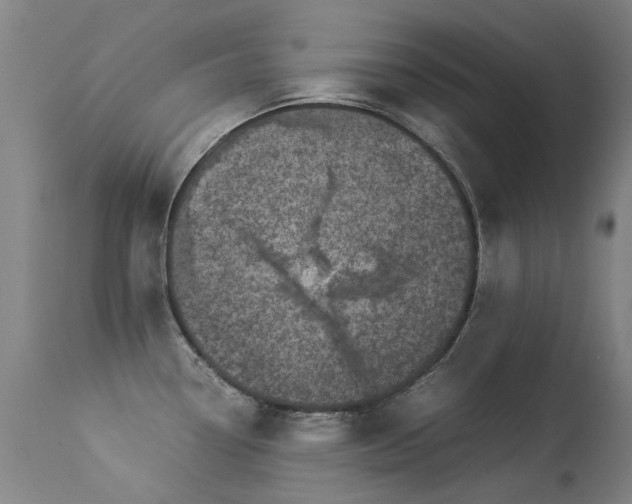 X0000113331338200909211211