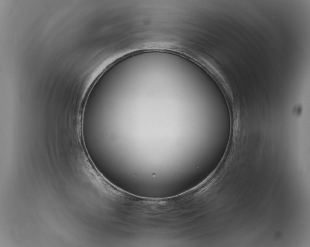 X0000113331340200909211211
