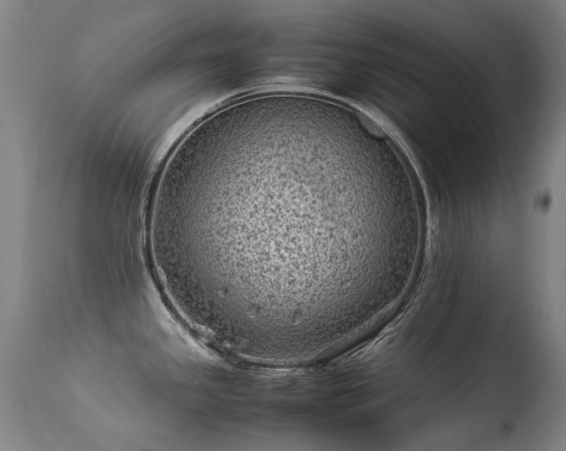 X0000113331341200909211211