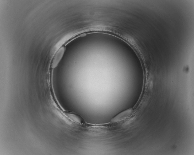 X0000113331342200909211211
