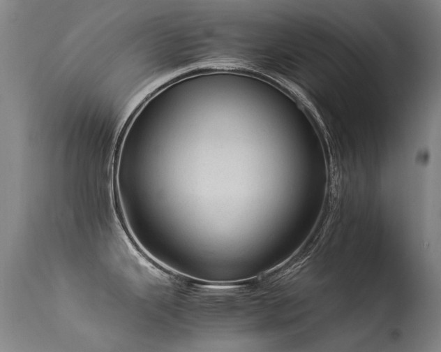 X0000113331343200909211211