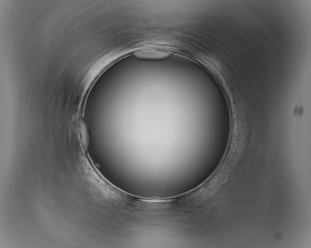 X0000113331344200909211211