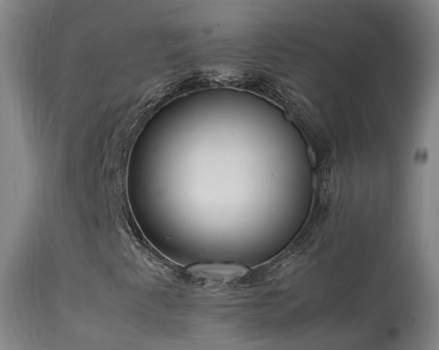 X0000113331345200909211210