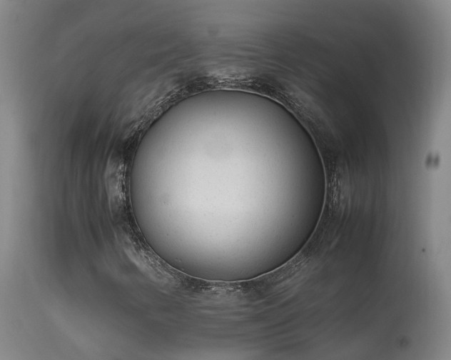 X0000113331346200909211210