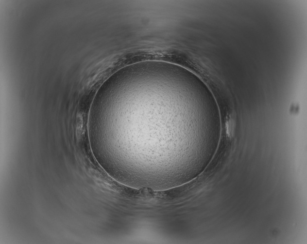 X0000113331347200909211210